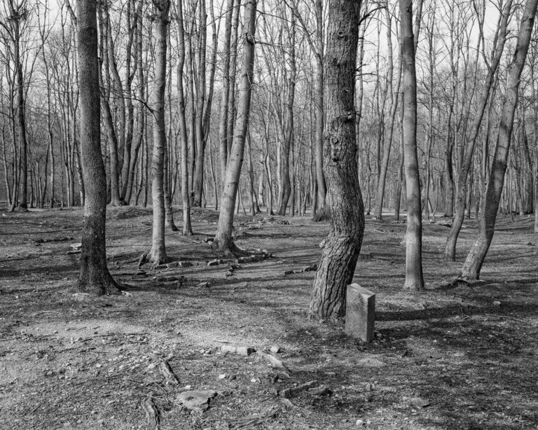 « Buchenwald » de Christian Rothe