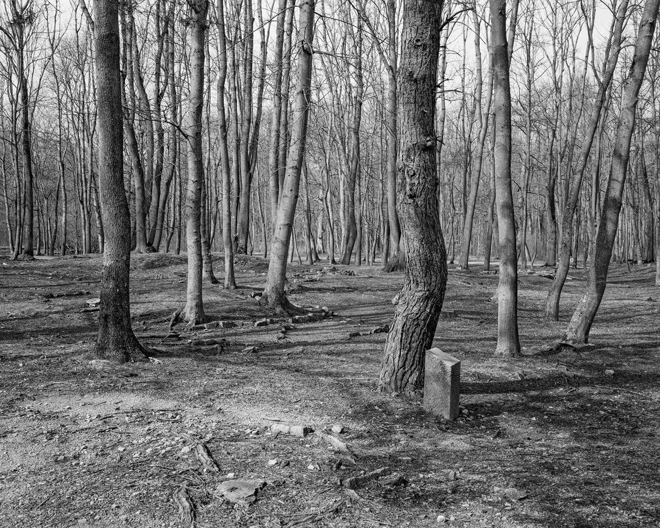 189 20210325 buchenwald appellplatz