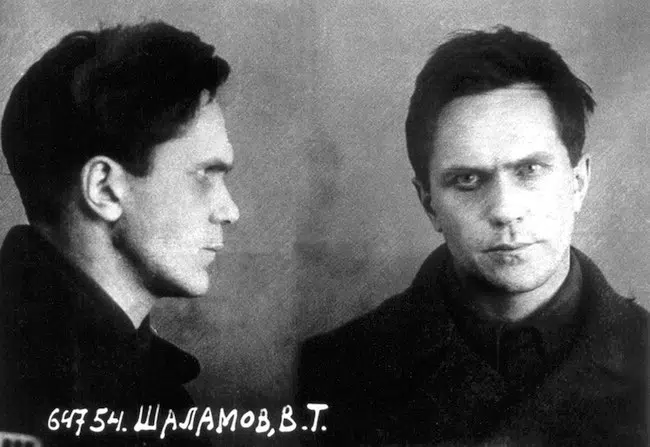 Chalamov 1 article